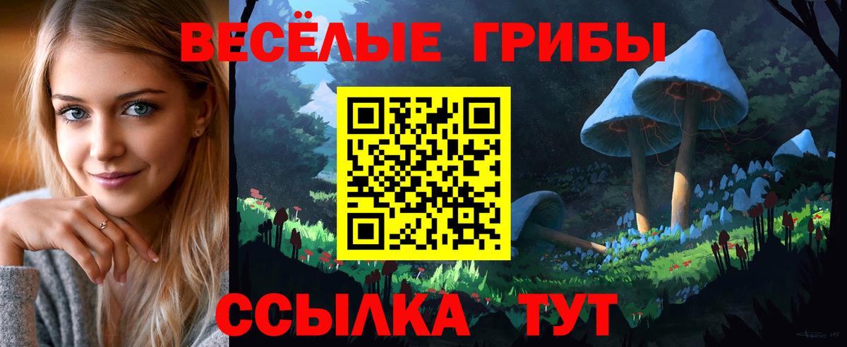 Псилоцибиновые грибы Cubensis Малгобек
